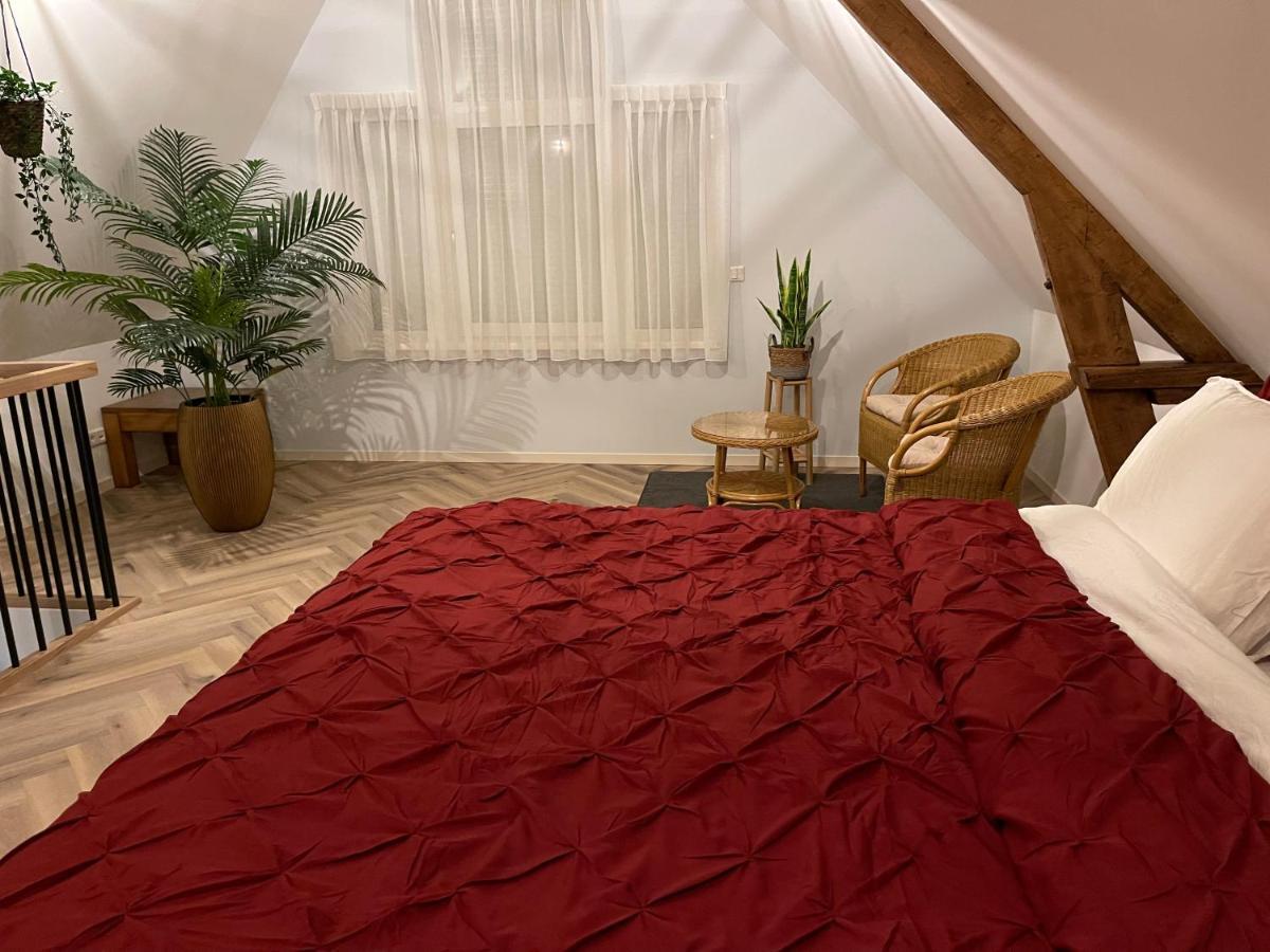 Apartment Bed & Wellness Chinel Luxe Met Sauna's En Bubbelbad Sint-Annaland